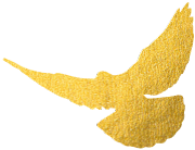 沖刺收官中的“急先鋒”【堡壘行動·黨員風采】